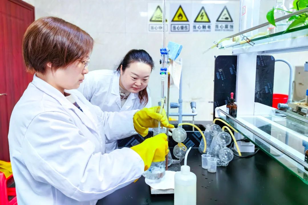【宜化榜樣】股份公司黃冬燕：立足分析崗位，爭當技術能手(圖5)